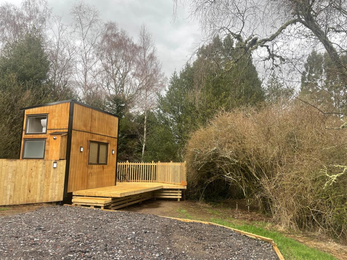 Tiny House In The Bush - A Minute From Town Centre Ruapehu Unique Stays Raetihi Eksteriør billede